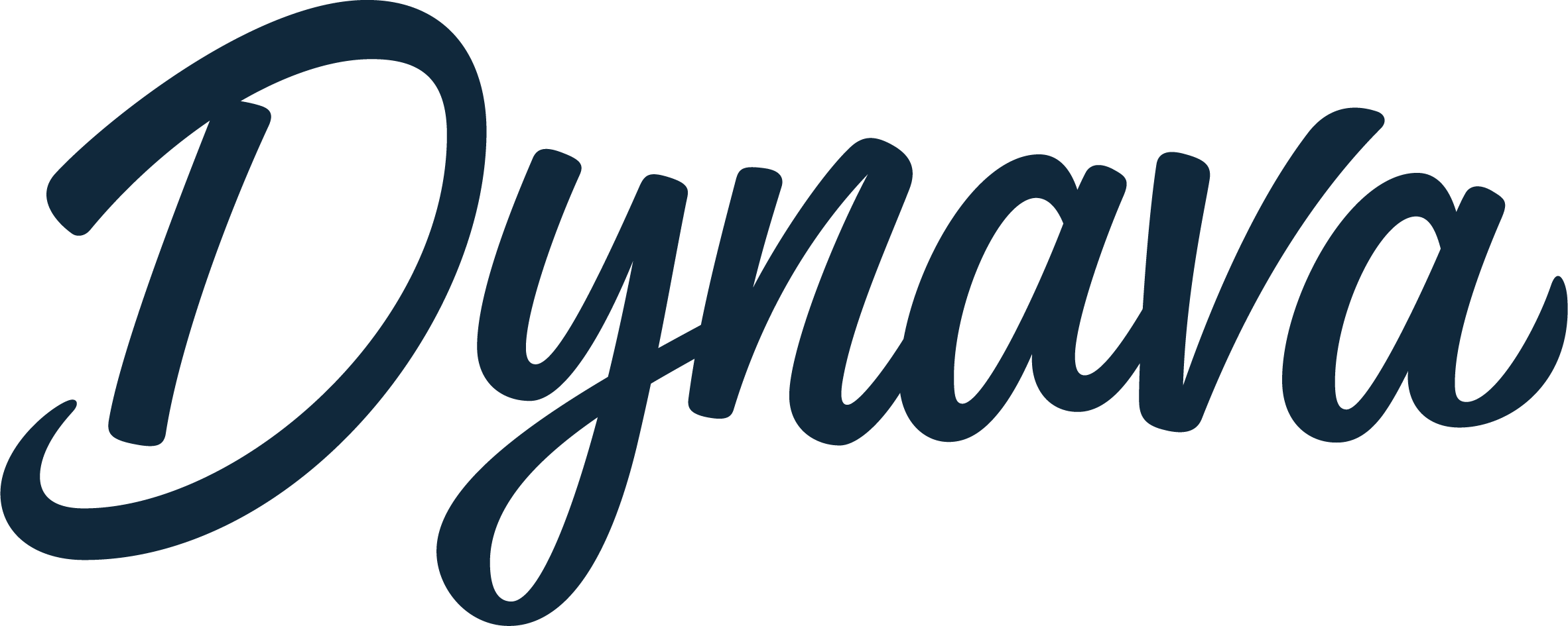 Dynava